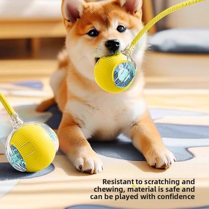 Intelligent Automatic Dog Toy Ball