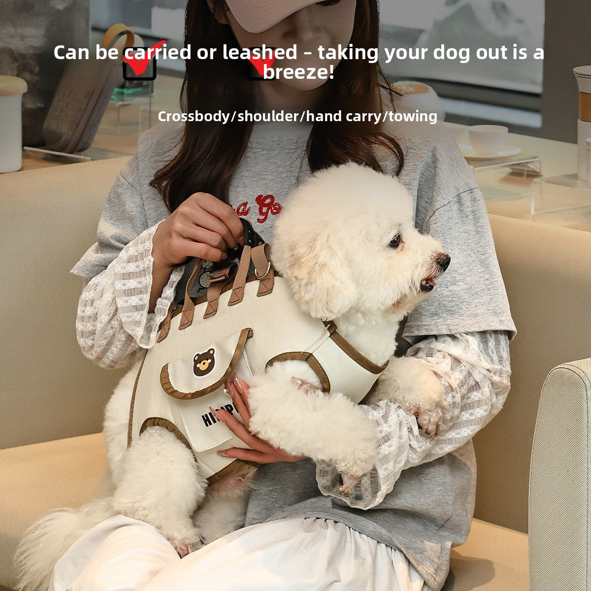 Foldable Breathable Pet Carrier Backpack