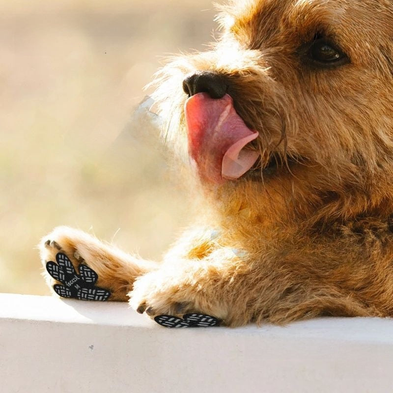 Dog Anti Slip Paw Grips Traction Pads