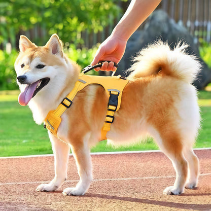 Reflective Adjustable Dog Harness with Leash