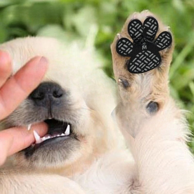 Dog Anti Slip Paw Grips Traction Pads