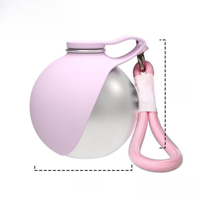 Pet water fountain