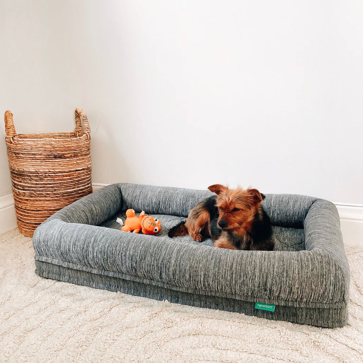 Yorkshire Terrier relaxing in cozy round plush pet bed